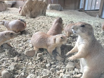 那須どうぶつ王国に投稿された画像（2024/7/31）