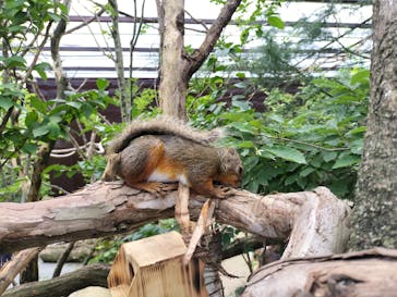 那須どうぶつ王国に投稿された画像（2024/7/31）