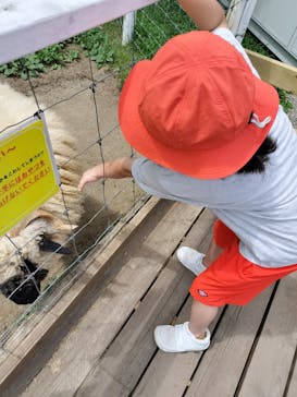 那須どうぶつ王国に投稿された画像（2024/7/31）