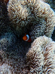 Chinajun Zamamiに投稿された画像（2024/7/31）