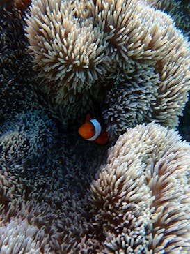 Chinajun Zamamiに投稿された画像（2024/7/31）