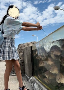 横浜・八景島シーパラダイスに投稿された画像（2024/7/31）