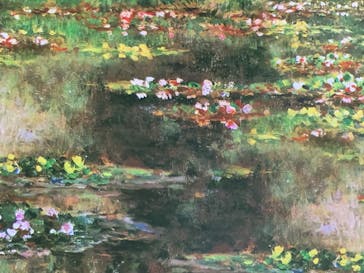 モネ＆フレンズ・アライブに投稿された画像（2024/7/31）