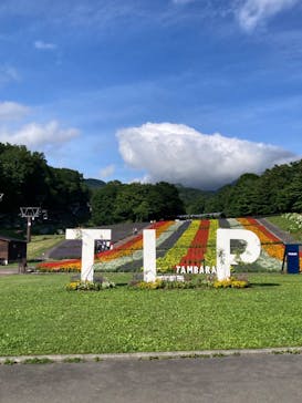 たんばらラベンダーパークに投稿された画像（2024/7/31）