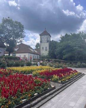 滋賀農業公園ブルーメの丘に投稿された画像（2024/7/28）