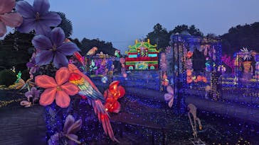 伊豆ぐらんぱる公園に投稿された画像（2024/7/31）