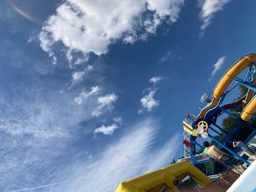 日本モンキーパークに投稿された画像（2024/7/31）