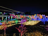 伊豆ぐらんぱる公園に投稿された画像（2024/7/31）