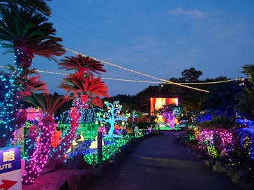 伊豆ぐらんぱる公園に投稿された画像（2024/7/31）