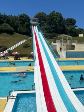 グリーンランドに投稿された画像（2024/7/31）