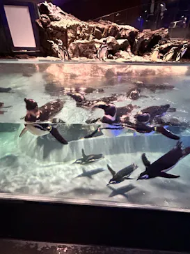 すみだ水族館に投稿された画像（2024/7/31）