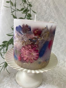 ずこうしつ〜sugamo〜に投稿された画像（2024/7/31）