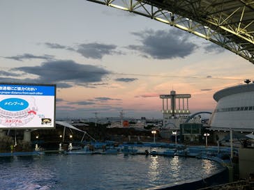 名古屋港水族館に投稿された画像（2024/7/31）