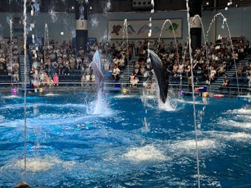 マクセル アクアパーク品川に投稿された画像（2024/7/31）