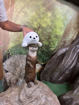 新江ノ島水族館に投稿された画像（2024/7/31）