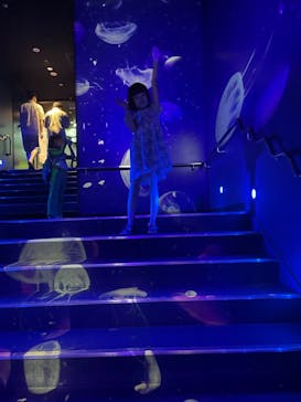 サンシャイン水族館に投稿された画像（2024/7/31）