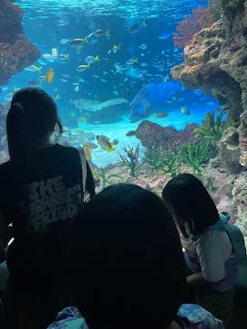 サンシャイン水族館に投稿された画像（2024/7/31）