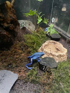 サンシャイン水族館に投稿された画像（2024/7/31）