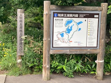 知床ツーリストに投稿された画像（2024/7/31）