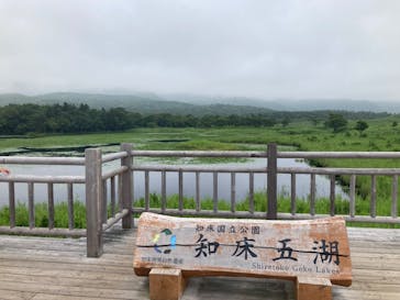 知床ツーリストに投稿された画像（2024/7/31）