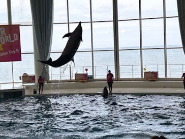 アクアワールド茨城県大洗水族館に投稿された画像（2024/7/31）