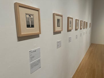 豊田市美術館に投稿された画像（2024/7/31）