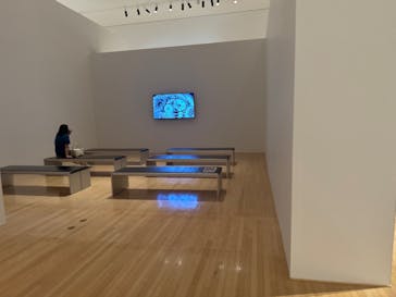 豊田市美術館に投稿された画像（2024/7/31）