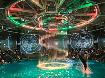 マクセル アクアパーク品川に投稿された画像（2024/7/31）