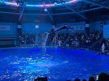 マクセル アクアパーク品川に投稿された画像（2024/7/31）