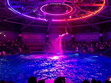 マクセル アクアパーク品川に投稿された画像（2024/7/31）