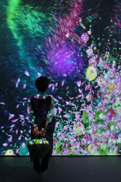 モネ＆フレンズ・アライブに投稿された画像（2024/7/31）