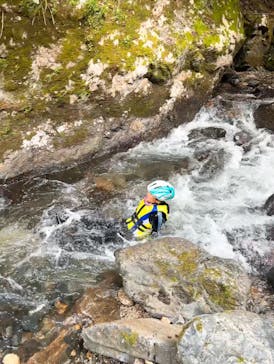 自然派企画に投稿された画像（2024/7/31）