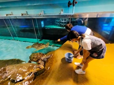 マリンワールド海の中道に投稿された画像（2024/7/31）