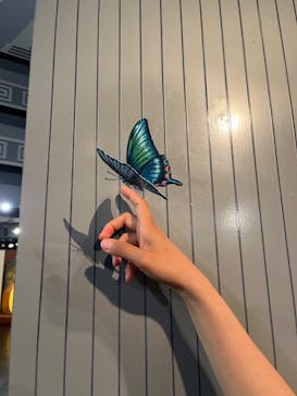 とりっくあーとぴあ日光に投稿された画像（2024/7/31）