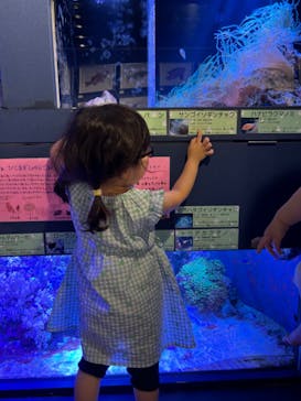 竹島水族館に投稿された画像（2024/7/31）