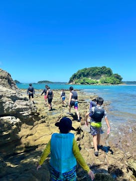 ホワイトウイングに投稿された画像（2024/7/31）