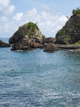 越前松島水族館に投稿された画像（2024/8/1）