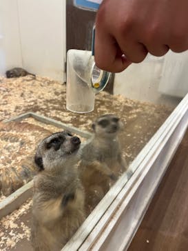 アニタッチみなとみらいに投稿された画像（2024/8/1）