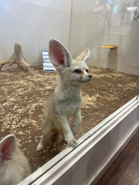 アニタッチみなとみらいに投稿された画像（2024/8/1）