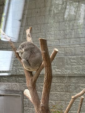 淡路ファームパーク イングランドの丘に投稿された画像（2024/8/1）