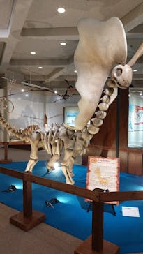 岐阜県博物館に投稿された画像（2024/8/1）