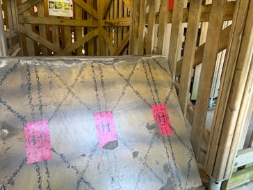 ニジゲンノモリに投稿された画像（2024/8/1）