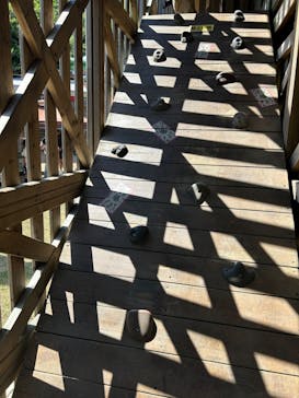 ニジゲンノモリに投稿された画像（2024/8/1）