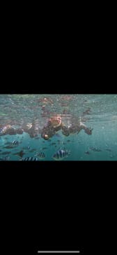 武藤潜水に投稿された画像（2024/8/1）