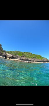 武藤潜水に投稿された画像（2024/8/1）