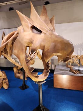 岐阜県博物館に投稿された画像（2024/8/1）