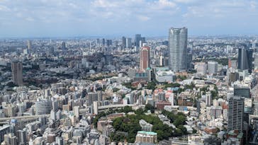 東京タワーに投稿された画像（2024/8/1）