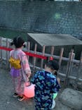 NAKED夏まつり2022 世界遺産・二条城に投稿された画像（2024/8/1）