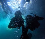 沖縄マリンサービス碧に投稿された画像（2024/8/1）