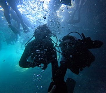 沖縄マリンサービス碧に投稿された画像（2024/8/1）